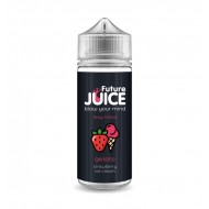 Gelato by Future Juice 100ml